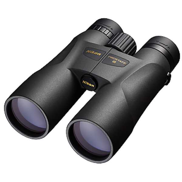 NIKON PROSTAFF 5 12X50 - Jumelles