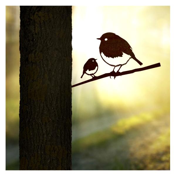 Rouge-Gorge et son oisillon - METALBIRD